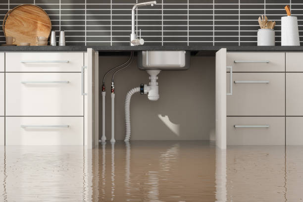 Best Water damage restoration near me  in USA